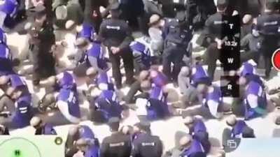 Taken off the front page of Reddit earlier today. On any given day, Uighur Muslims are blindfolded and being boarded onto trains. Sent to organ harvesting reeducation camps.