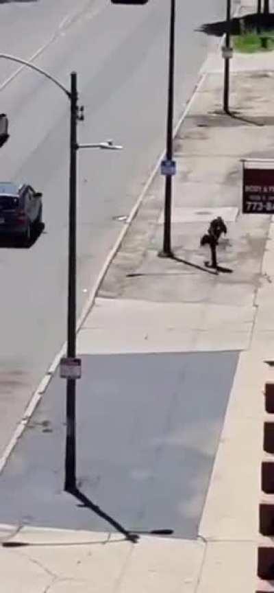 HMFT after I throw rocks at cars driving