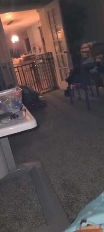 My cat became a real life cloaker