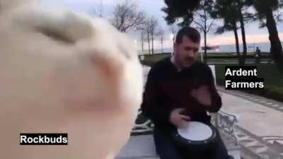 Actual Footage of Rosharan Horticulture