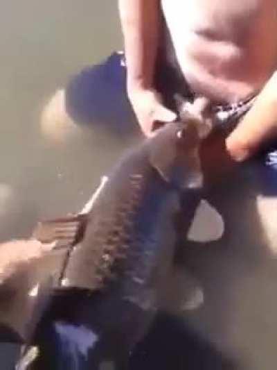 He gettin it good though