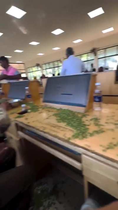 Bro what is this 😭😭😭