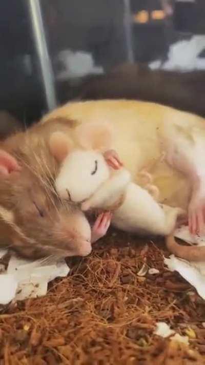 Würde ich gerne auch jetzt machen, aber es ist Montag...