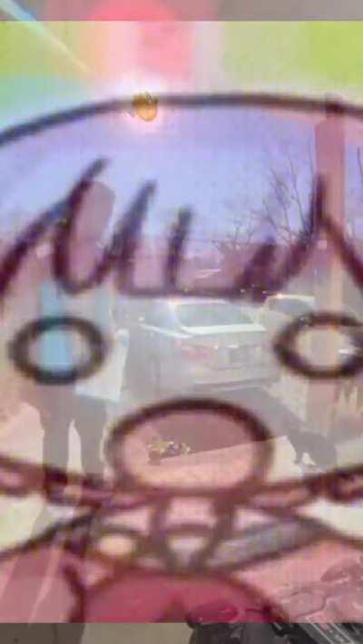 Can this game give me a 4* Emu