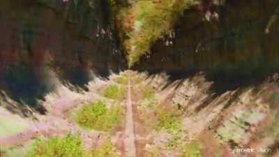 Stuck On Infinite Path (Psychedelic Recursion Experiment)