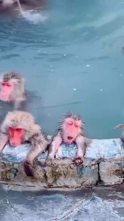 Soaking in a hot tub with friends