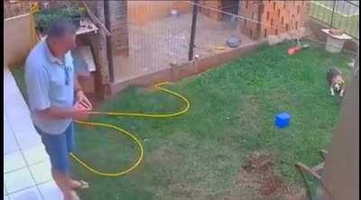 Removing ants with explosives