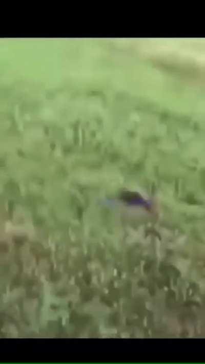 Bro started breakdancing 💀