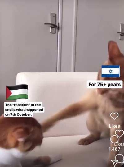 A summary for the dummies