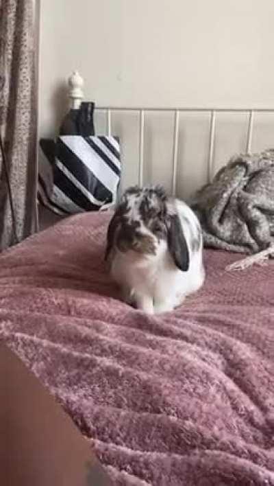 What is he plotting?!