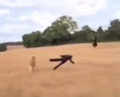 Everyone in the match right before I get disconnected