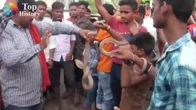 Hundreds of Snakes Paraded Through Indian City to Ward off Bad Karma