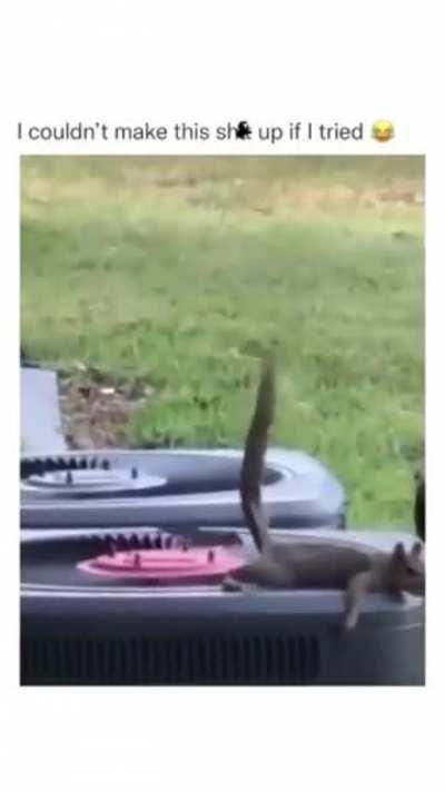 I feel sorry for him