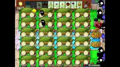 The maximum amount of cobs