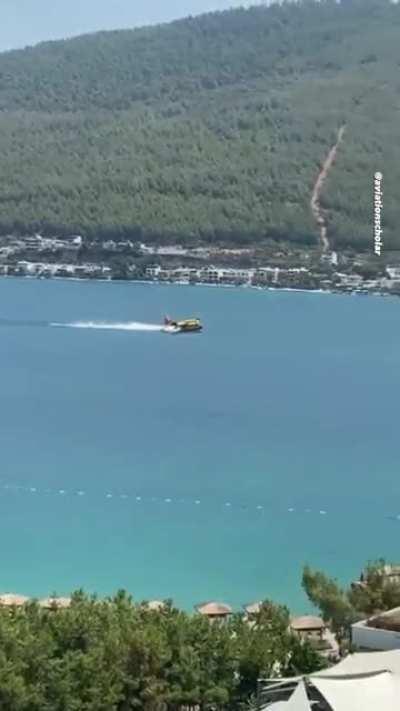 Greece's POS of the year.