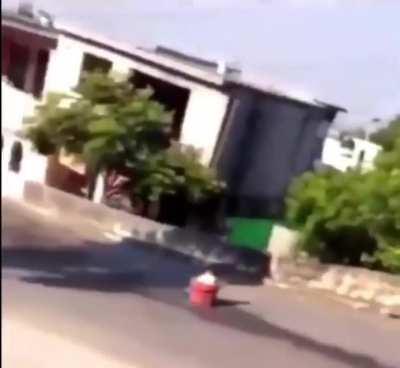 That transition from superfast jellyfish to empire ants