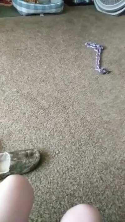 LUCY LET GO OF MY FUCKING EAR