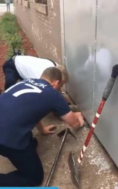 Chicago fire dept catches a cat then hammers it under a buiilding