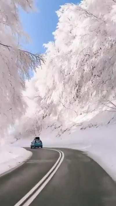 This almost unreal scenic road in Florina, Greece.