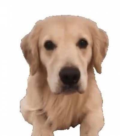 In honor of tomorrow being a Saturday, I will proceed to Shippost with enormous frequency. Be prepared.