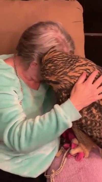 Just a woman cuddling her owl <3