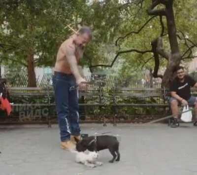 EviL FuCk FoRcES PuPPy to PerForM iN fREak ShoW