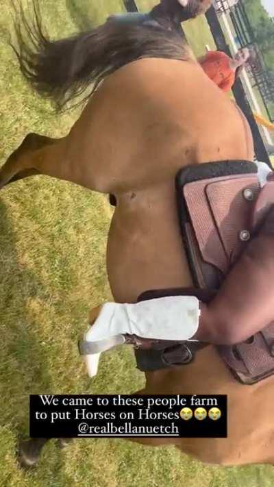 Top 5 Chicago baddie