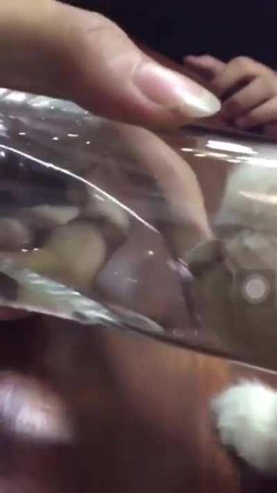 What y’all think bout this 😭🥺