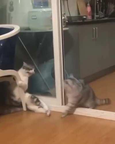 When you think the screen door is closed