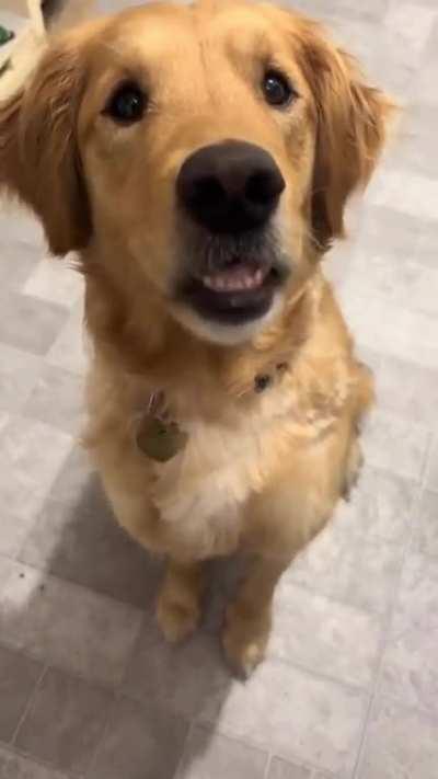 Carrot chomp chomp taste buds test 😂