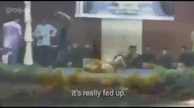 Lutas de anime são tipo isso