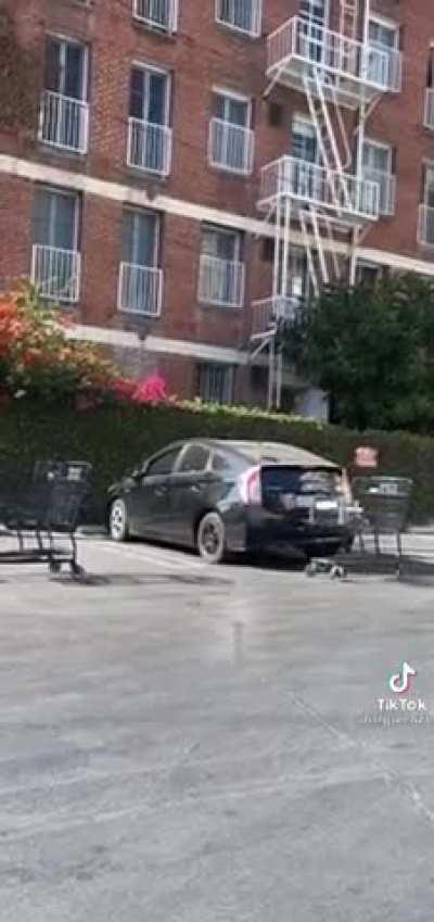 Entitled guy cant put away his shopping cart and gets angry about it