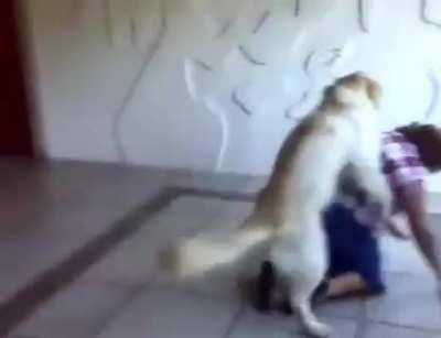 Friendly doggo is excited to see grandma.