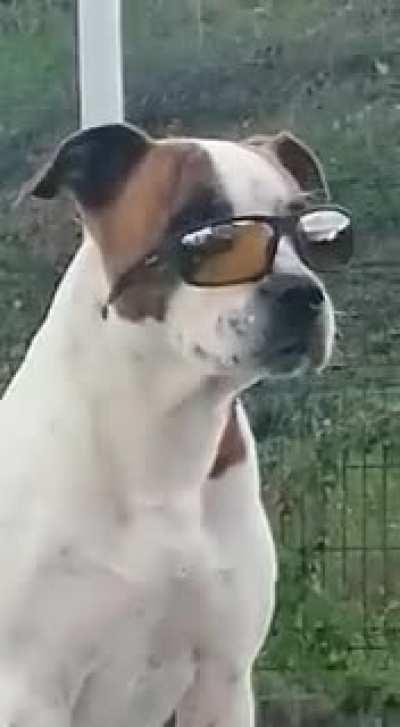 Apsolutno najjaca stvar ikada (ispred pet centra u Milutina Milankovica)