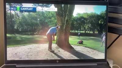 Patrick Cantlay shows off his short game