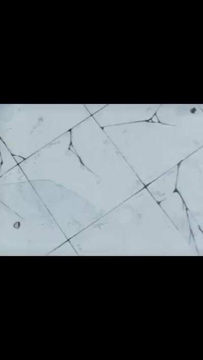 BeelcitosMemes - Video #9316