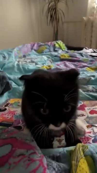 When it's time to feed Jeannie snackos.