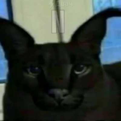 Racism 😂😆😁😡🕋🕋🕋