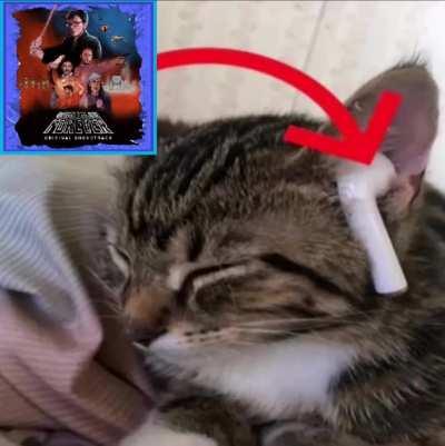 Me at 2am for no reason what so ever