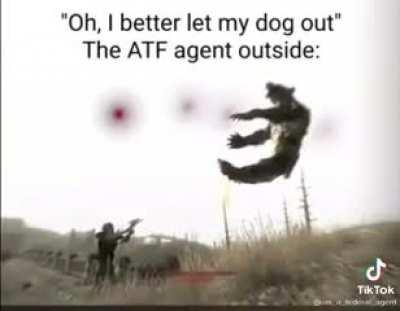Average ATF agent