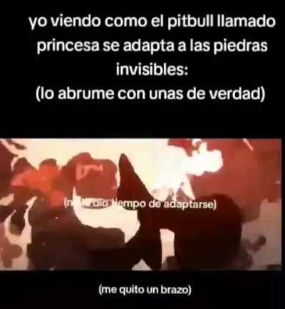 BeelcitosMemes - Video #0493