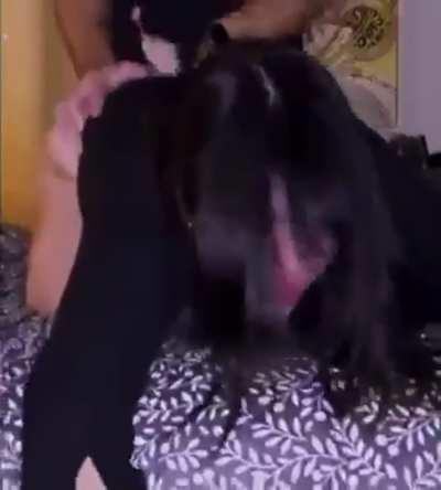 Goth girl begs and screams