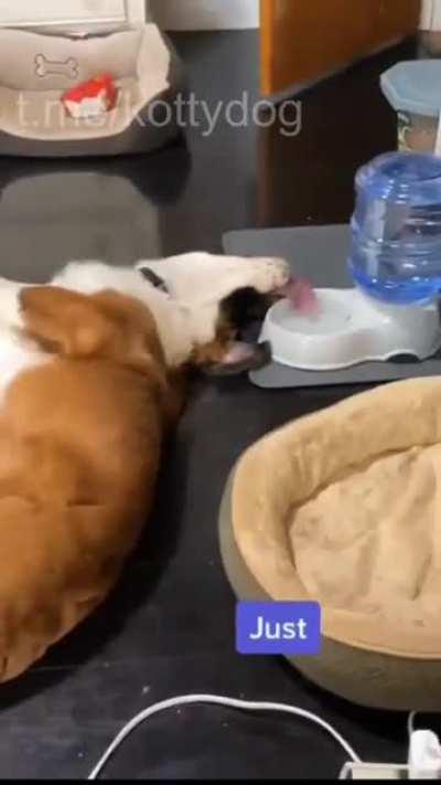 The morning after the New Year