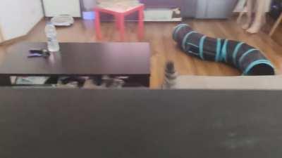 She started spying on me and I can't even...