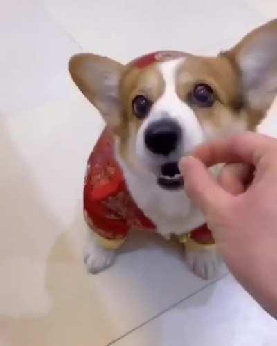 No more games or I’ll bite off one of your fingers