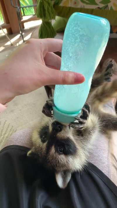 Just a guy enjoying some milk