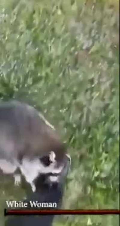 POV: You are a Dark Souls boss