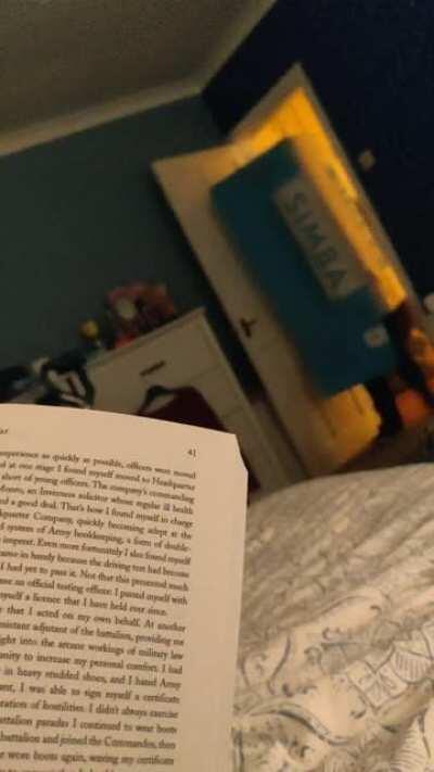 Just reading in bed