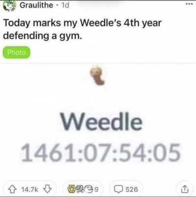 Weedle the sacred gaurdian of the gym