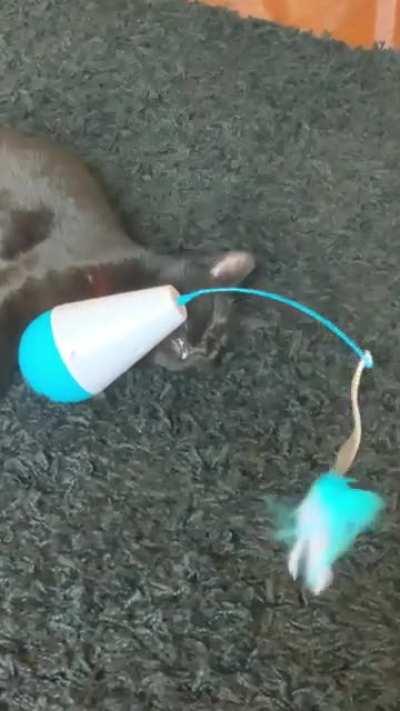 I want to make it stop but too lazy right meow